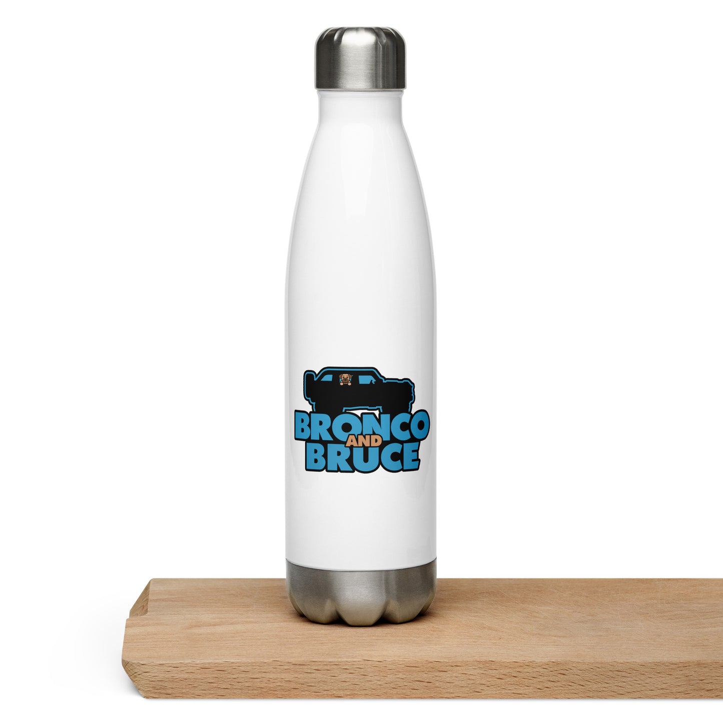 Stainless Steel Water Bottle